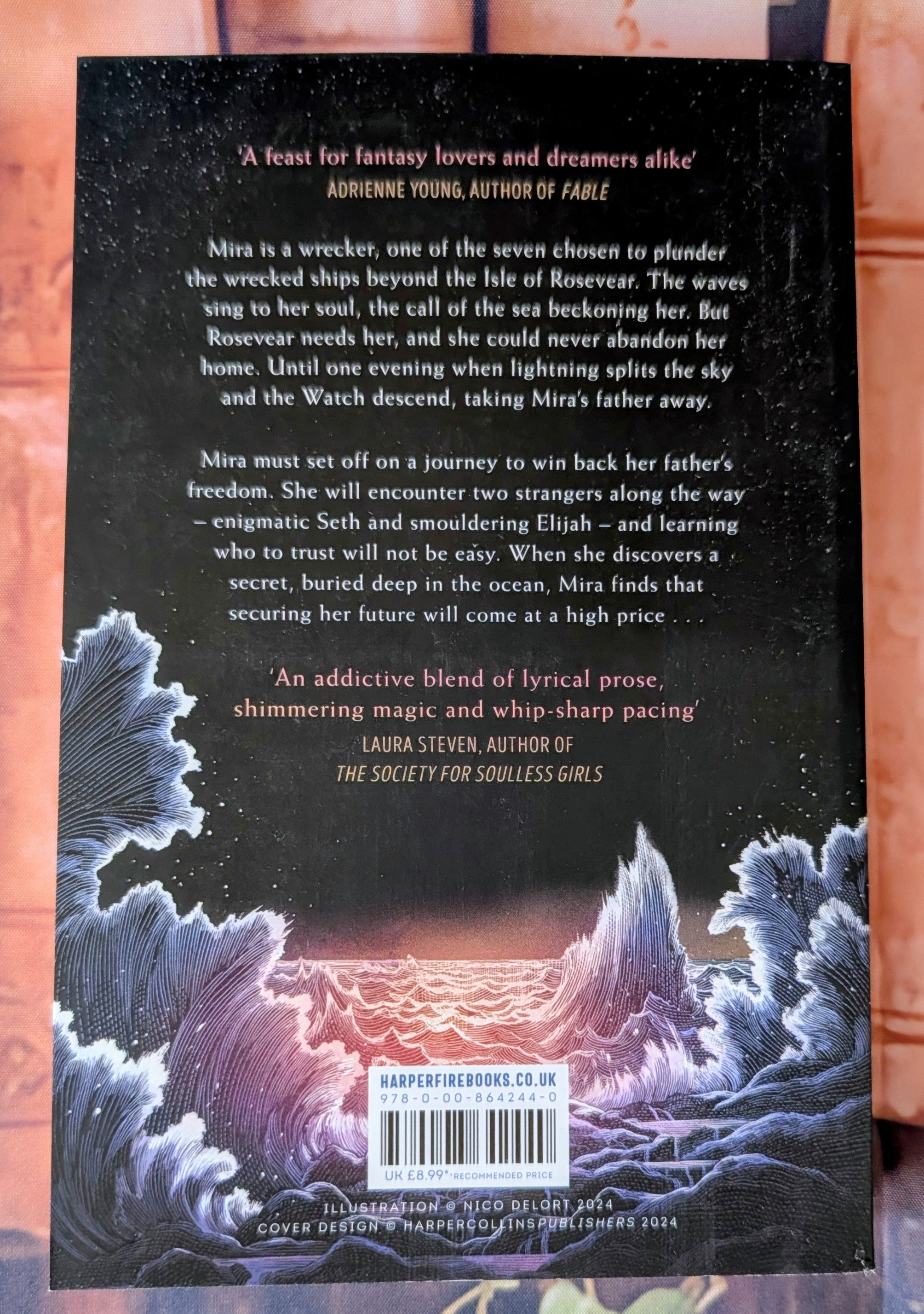 Compass and Blade by Rachel Greenlaw