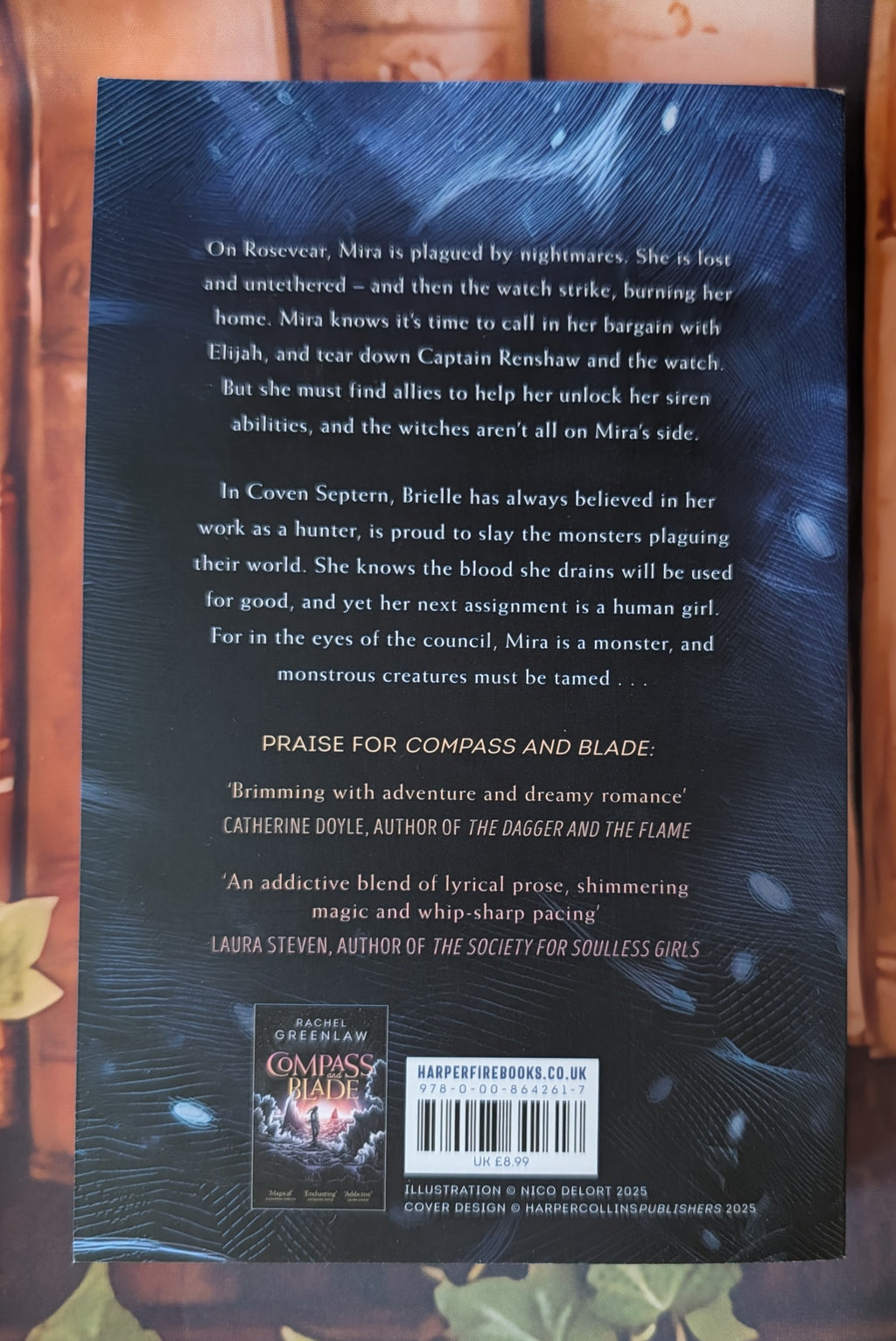 Shadow and Tide by Rachel Greenlaw